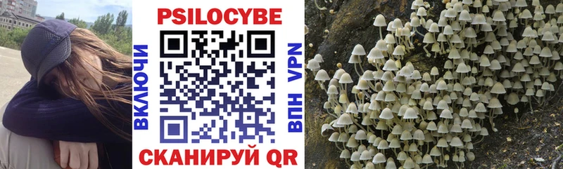 Псилоцибиновые грибы Magic Shrooms  Дорогобуж 